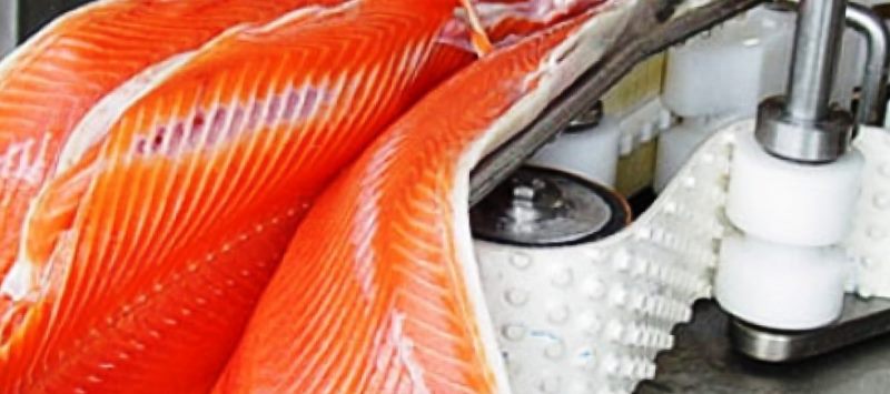 Предприятия рыбной промышленности сделали выбор в пользу составов EFELE