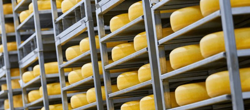 Смазочные материалы EFELE оптимизировали и обезопасили производственные процессы на сыродельных предприятиях
