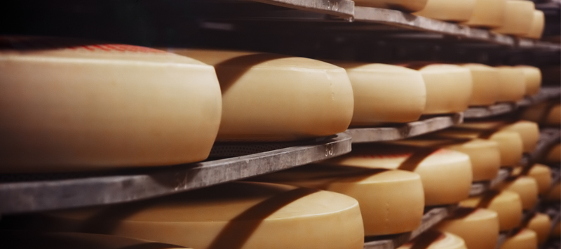 Жидкая изолента EFELE AC 500 Spray успешно применяется для обслуживания сыродельного оборудования